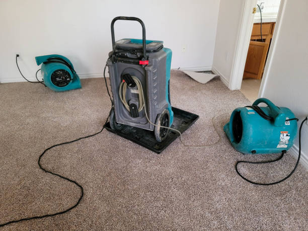 Best Carpet water damage restoration  in Gettysburg, PA