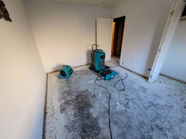 Best Professional water damage repair  in Gettysburg, PA