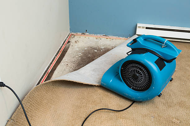 Best Water damage restoration process  in Gettysburg, PA
